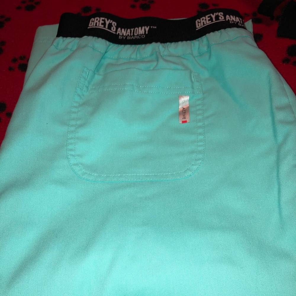 Grey’s Anatomy teal scrub pants